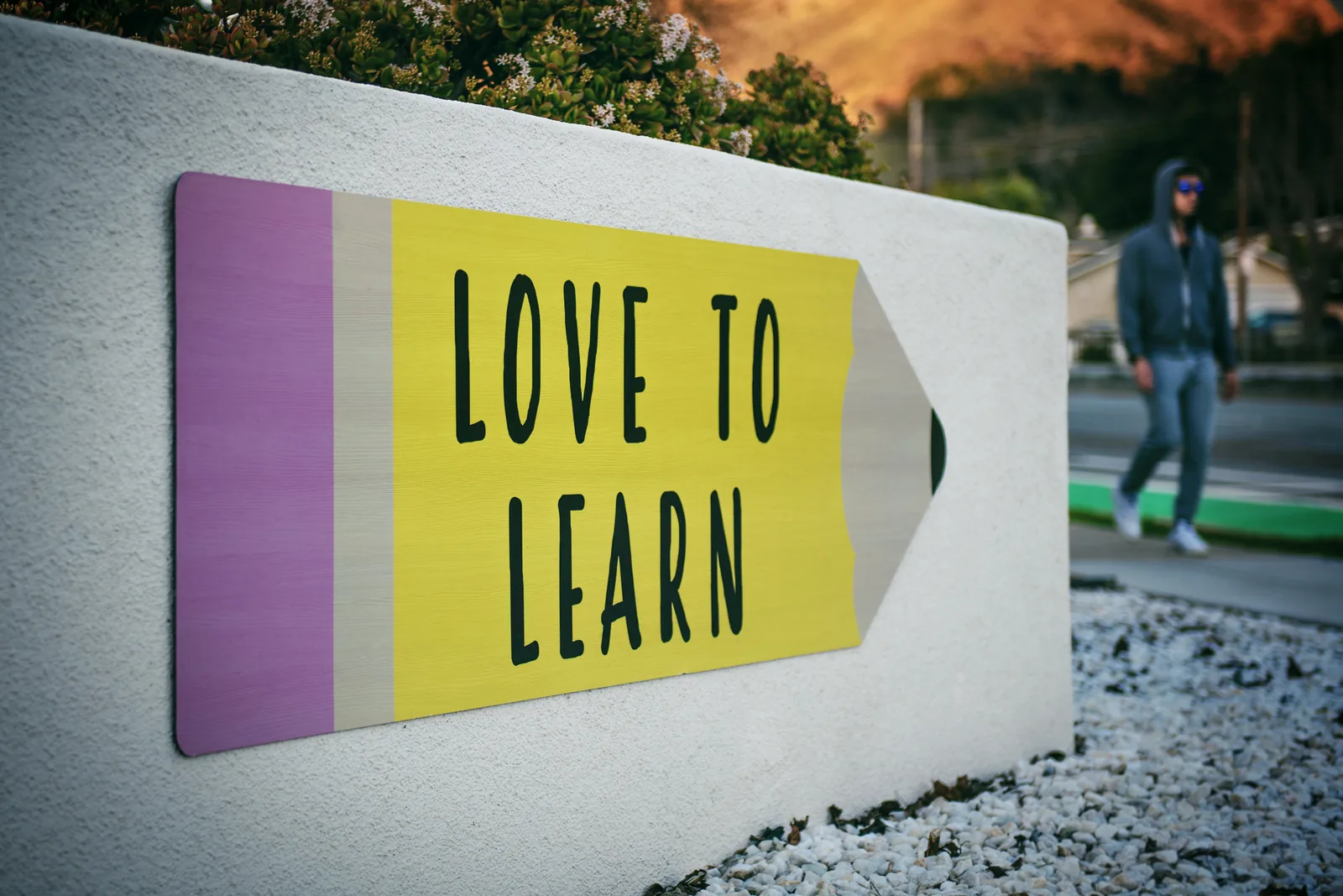 Love to Learn - e Learning